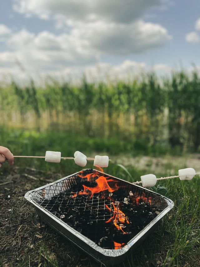 Picnic