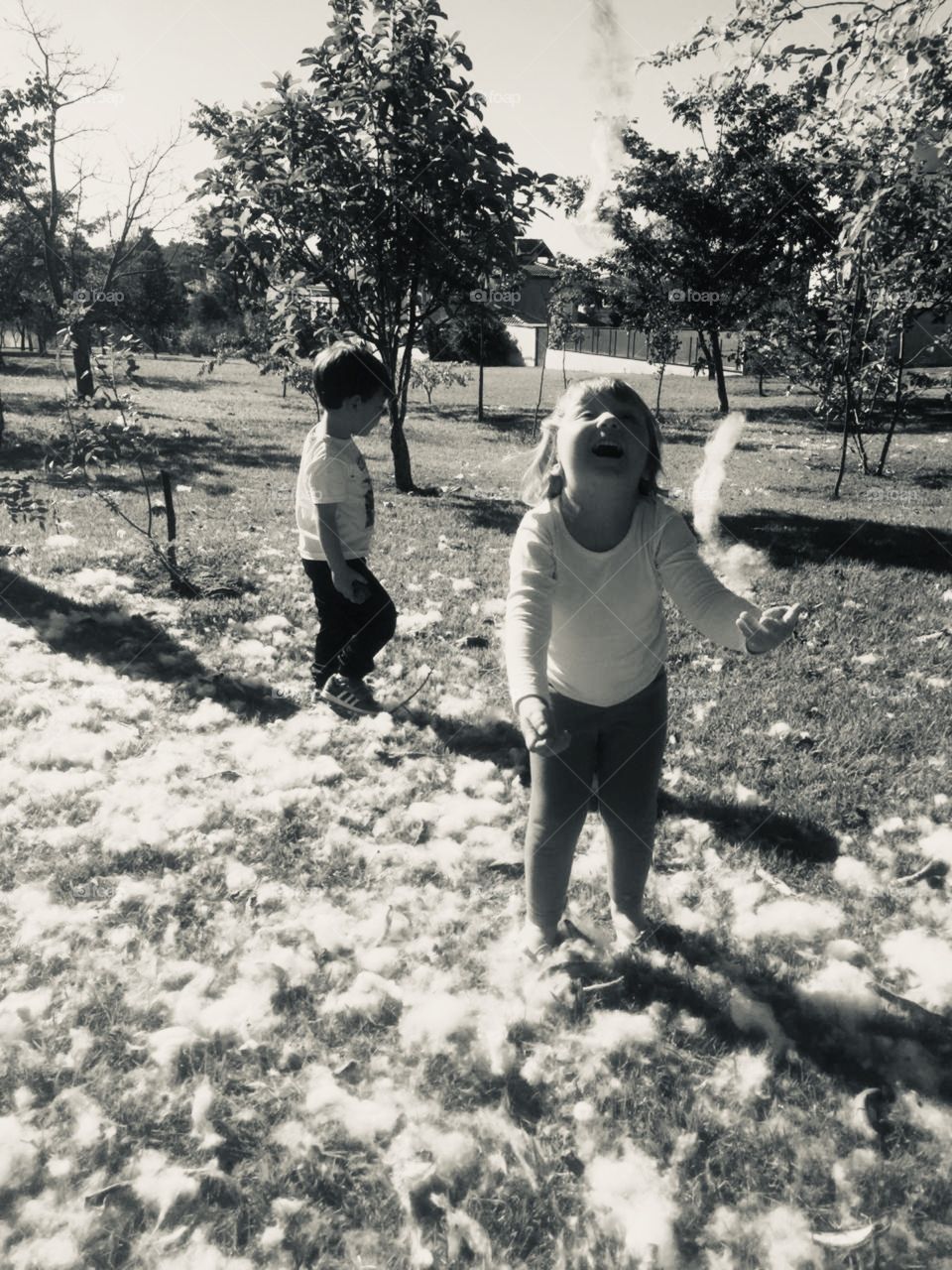 The joy of children playing with ... paina!  It is not cotton or snow, but the flower of the paineira! / A alegria das crianças brincando com... paina! Não é algodão, nem neve, mas sim a flor da paineira!