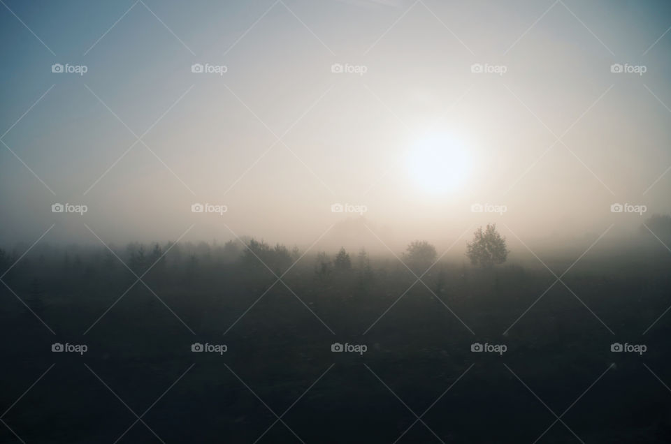 Idyllic sunrise over a misty field on a fresh spring morning.