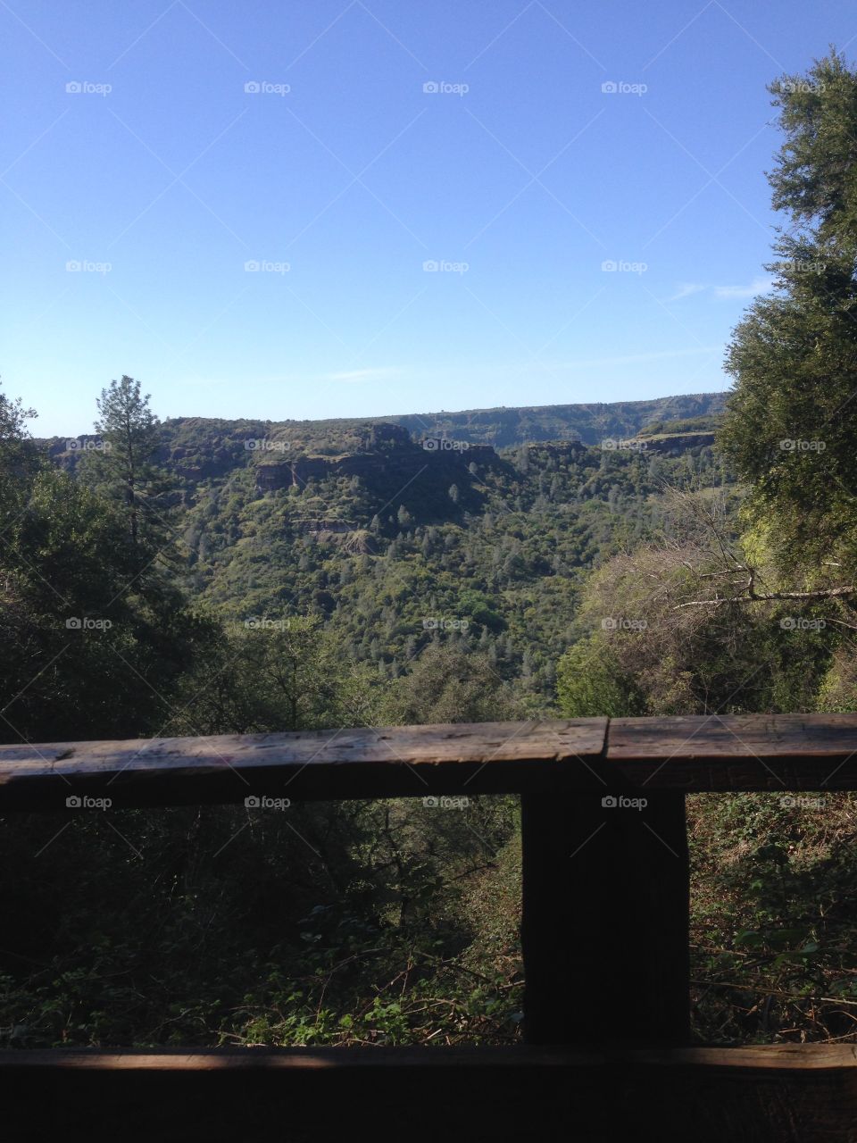 View over a canyon in my town. 