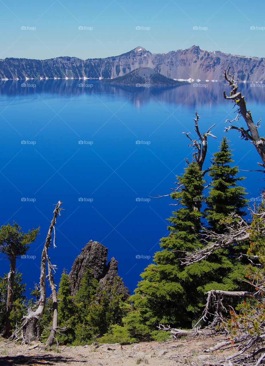 Wizard Island seen through beautiful fir trees at Crater Lake National Park in Southern Oregon on a sunny summer morning. 