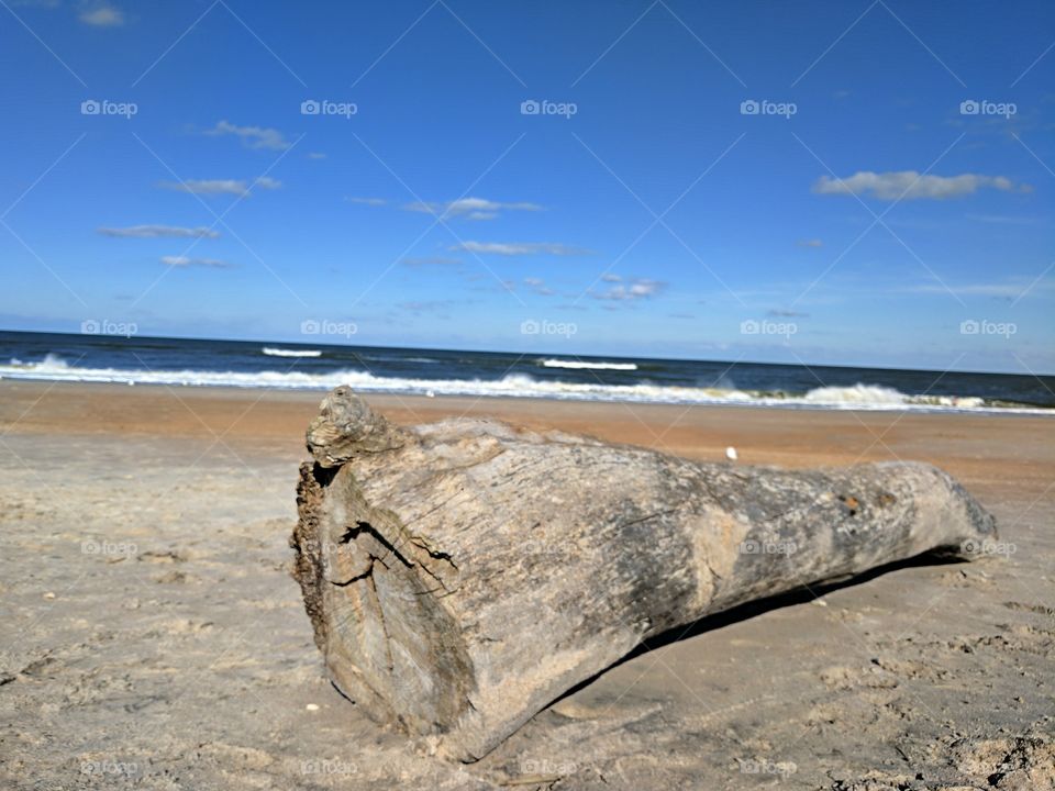 large driftwood log on a sandy beach with the ocean in the background