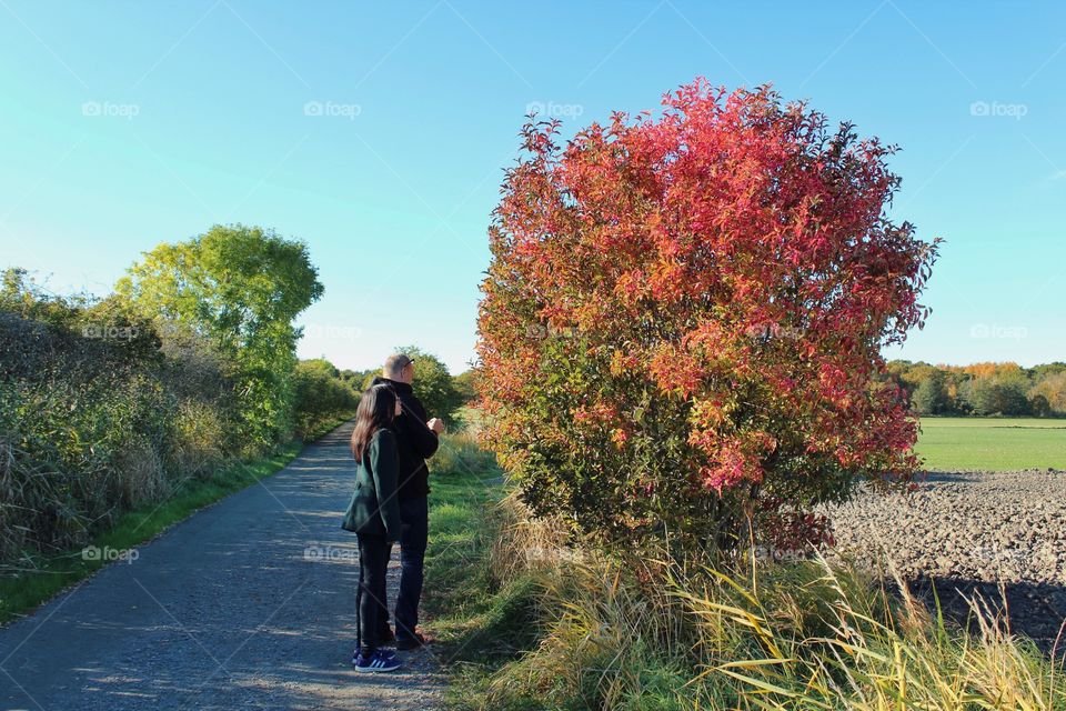 Autumn stroll