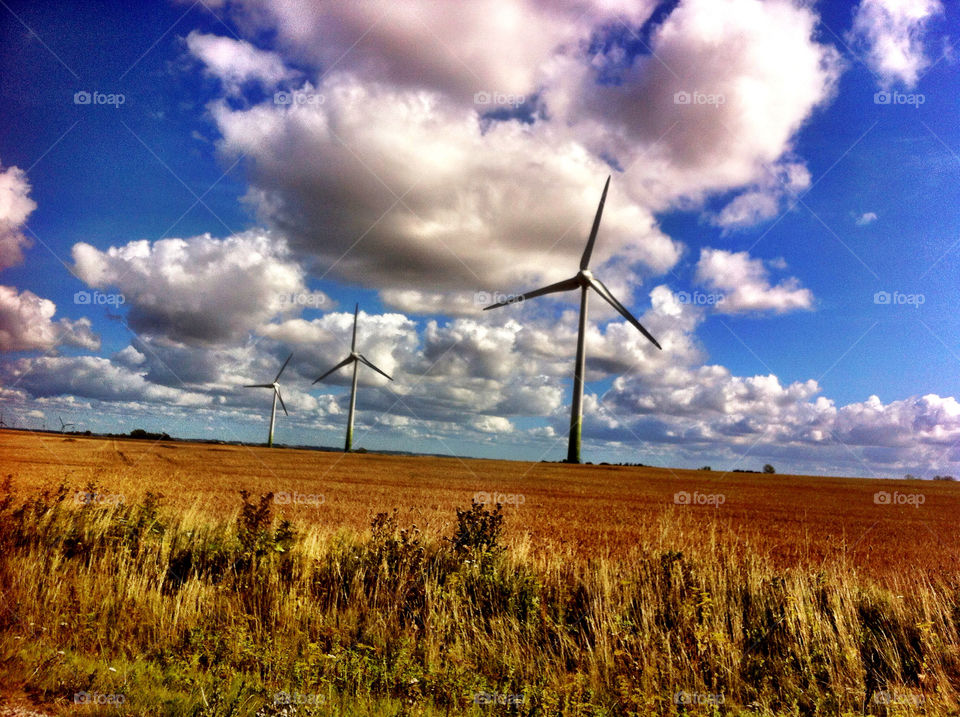 landscape field electricity wind by beanzy