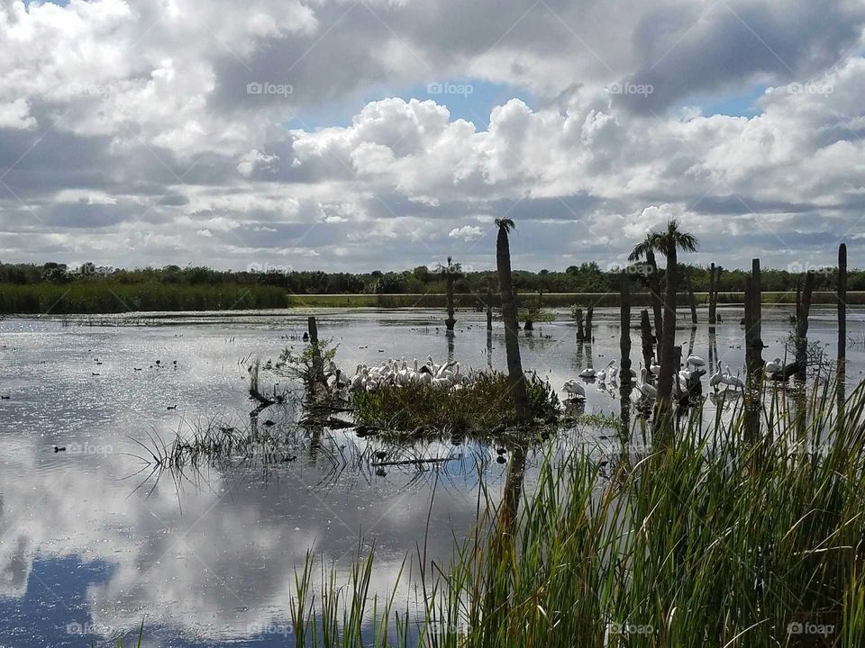 Reflections of the Sky