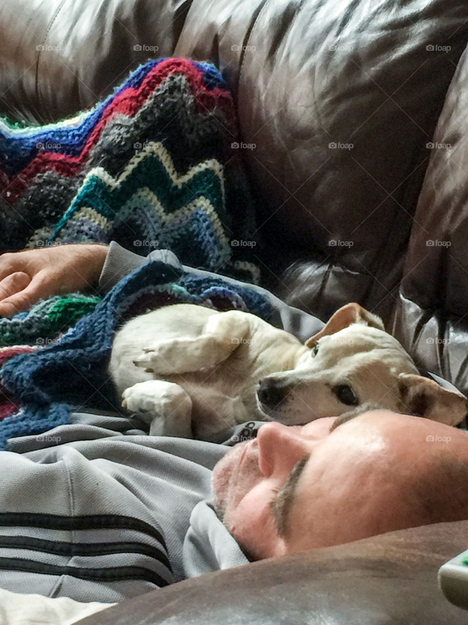 Puppy Love- best buddies napping together.