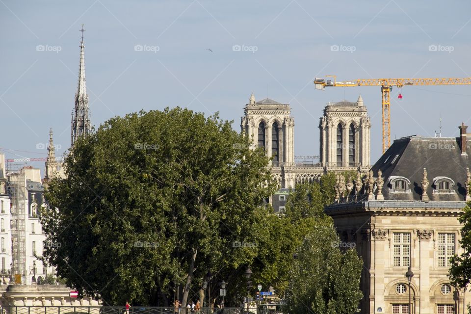view of the cathedral country