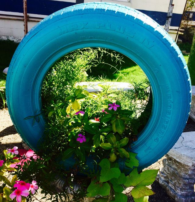 Urban Gardening 