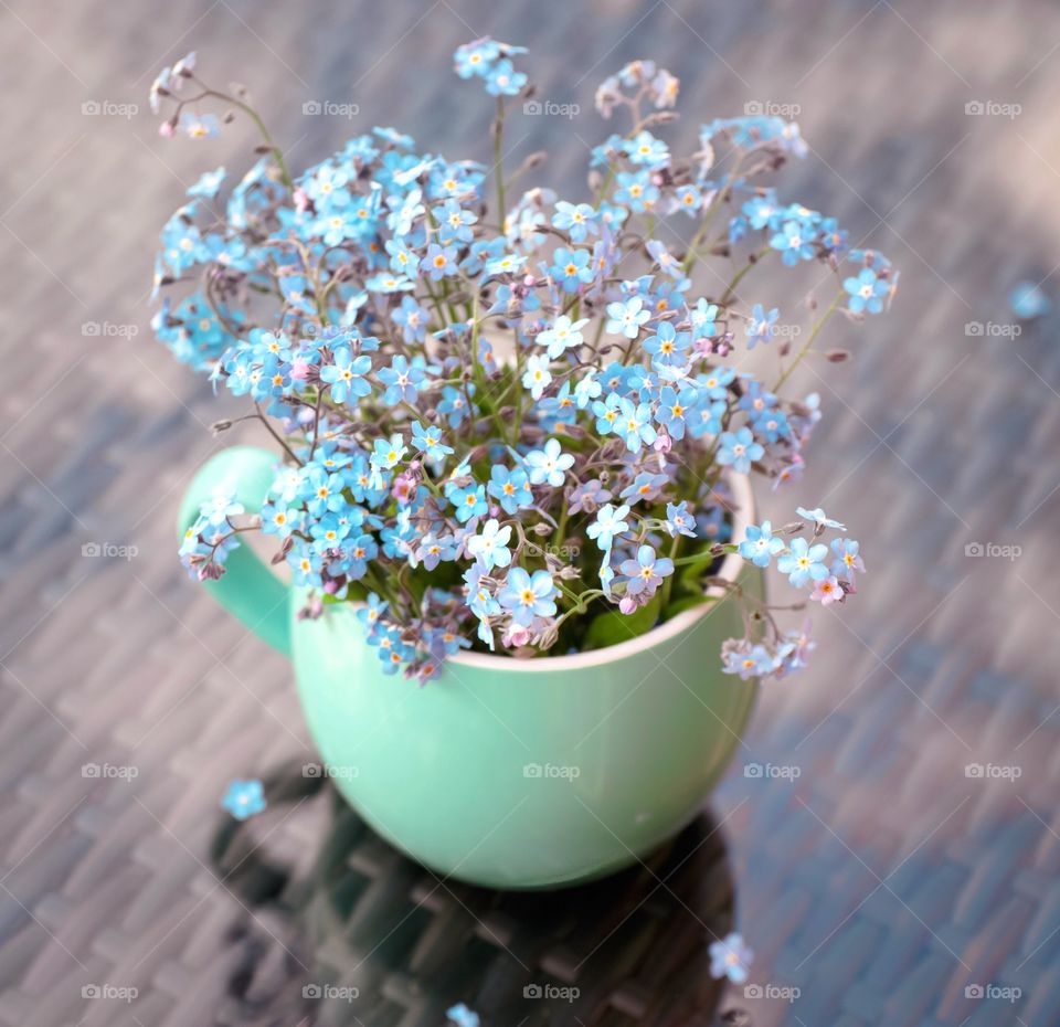 Forget-me-nots in a turquoise cup