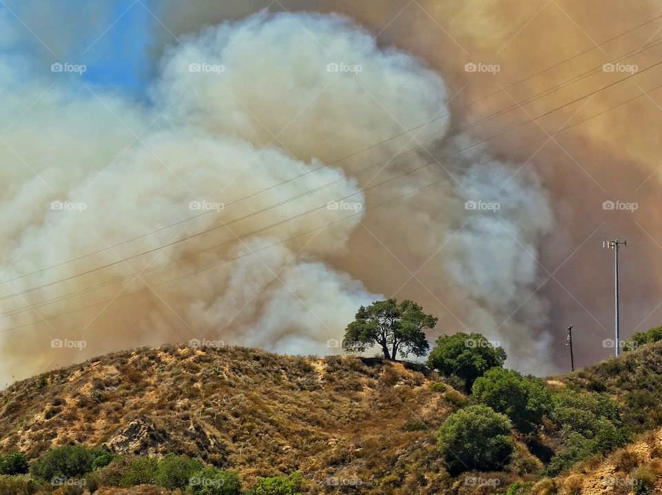 California Wildfire. Drought-Fueled Wildfire In California Wilderness
