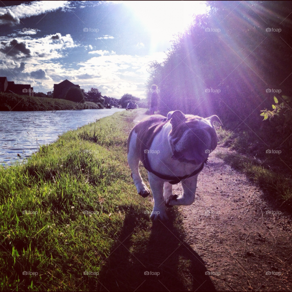 clouds water canal sunshine by Britishbulldog_