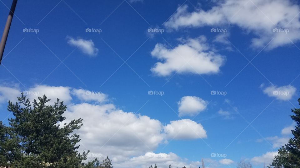 A picture of the skies above Bellevue, Washington, 2017. Somehow managed to take it on a bus.