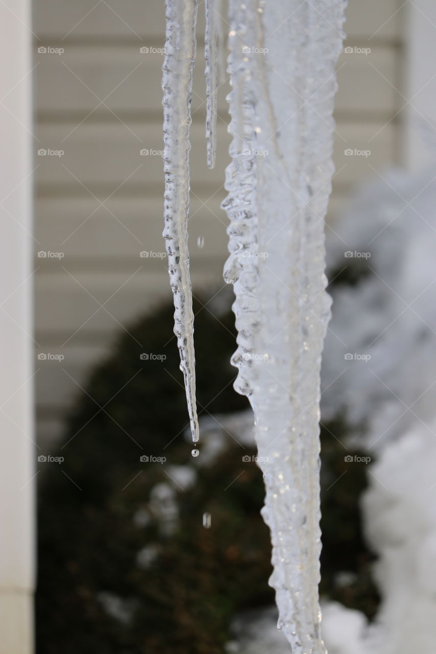 icicle