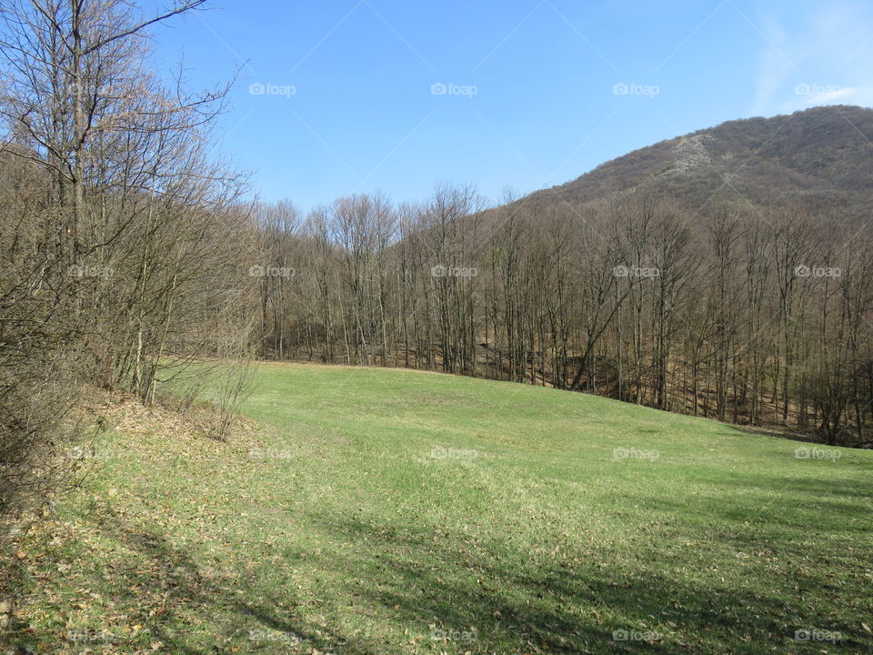 Mauntain pasture spring Bukovik Serbia