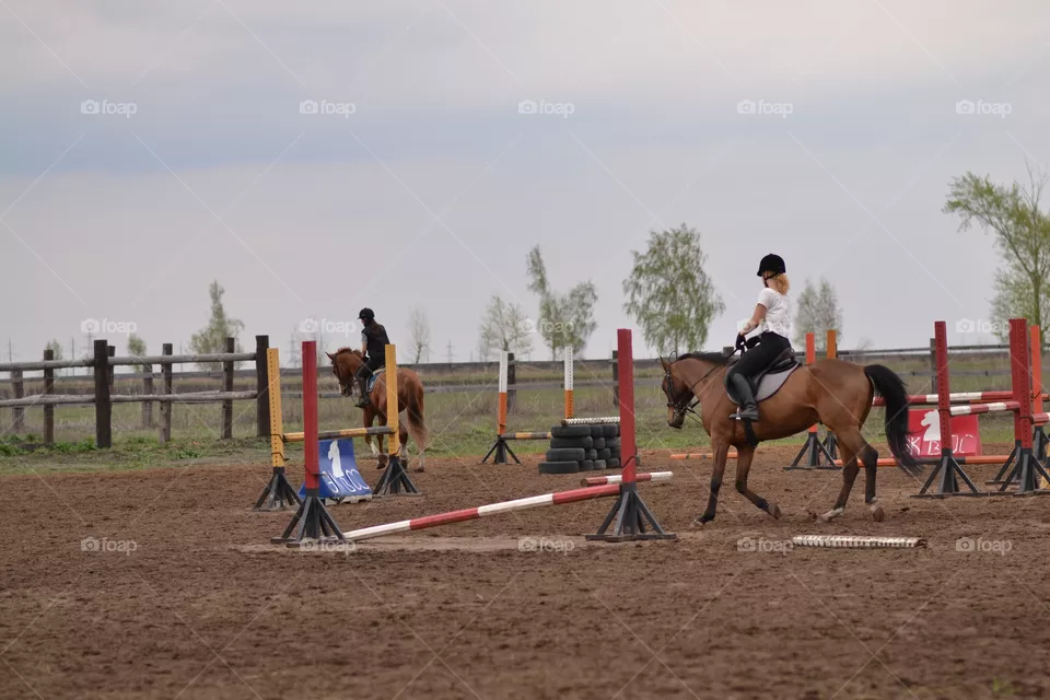 Horses
