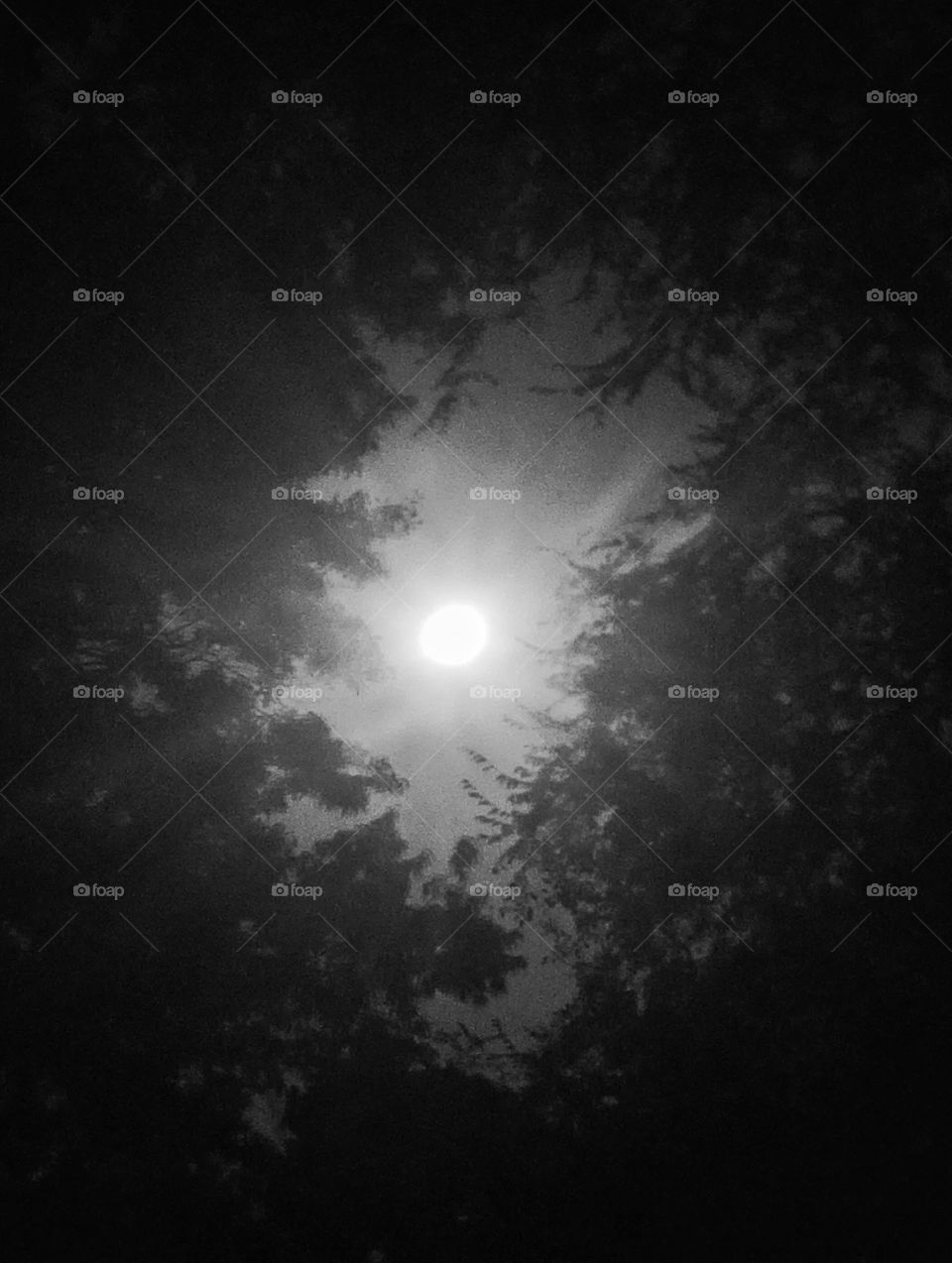 black and white moonrise