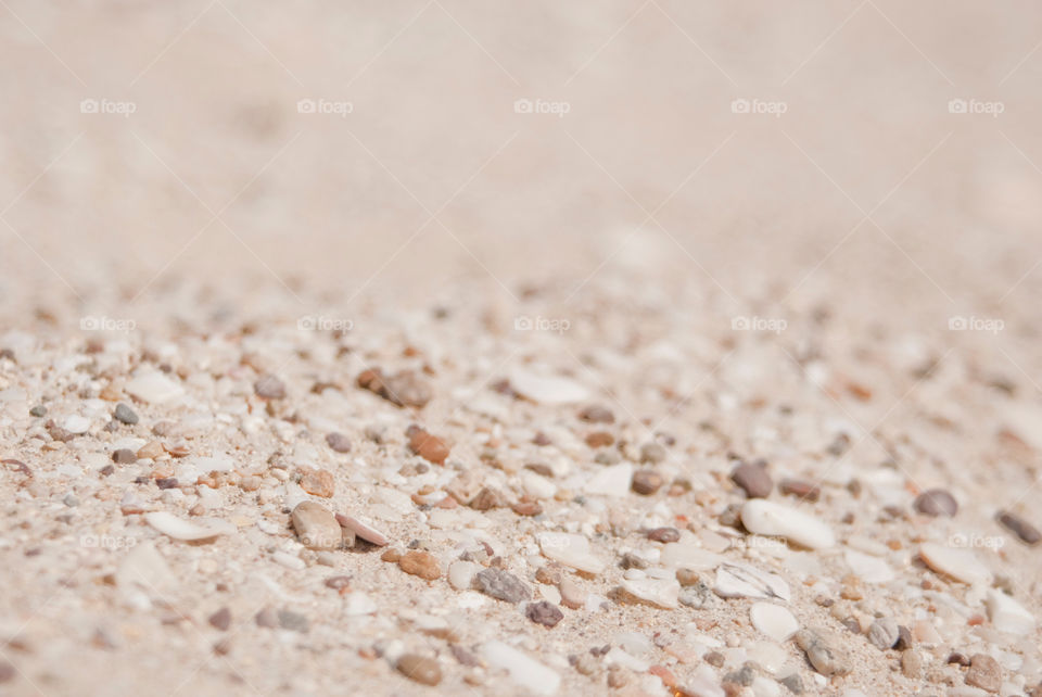 Close-up of broken seashell