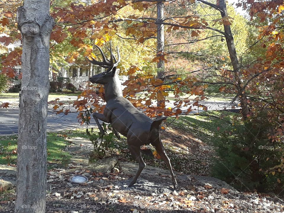 Deer Statue in Fall