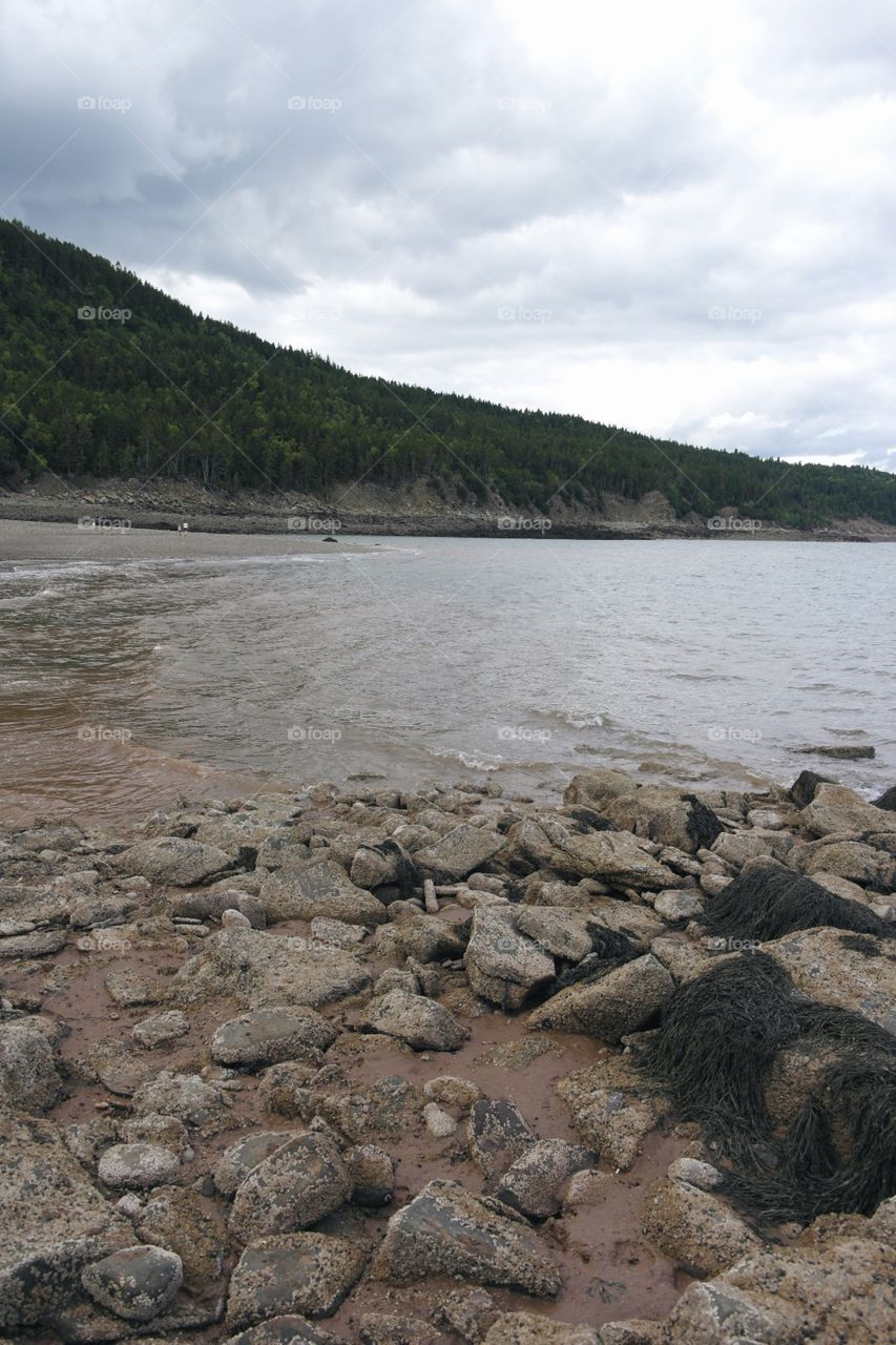 Herring Cove 