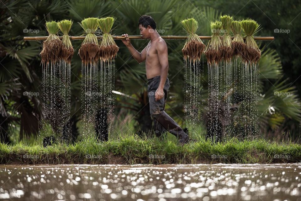 Farmer in tropical country