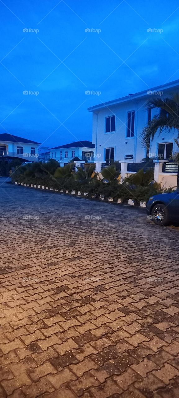 Beautiful street view of houses at night.lovely plants surrounding building. peaceful setting to snooze