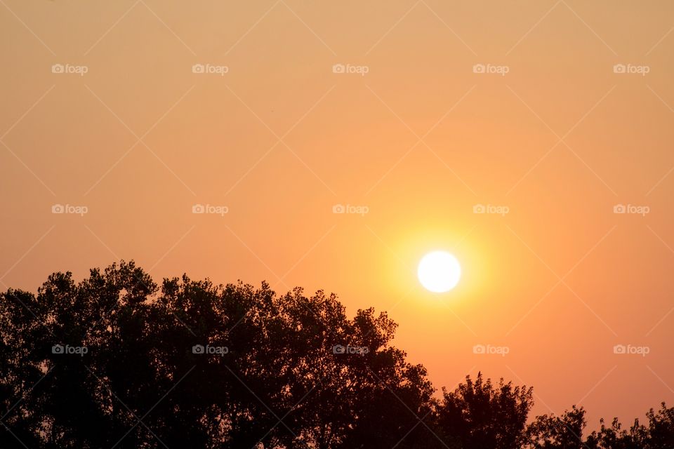 The sun over trees against a tangerine-colored sky 