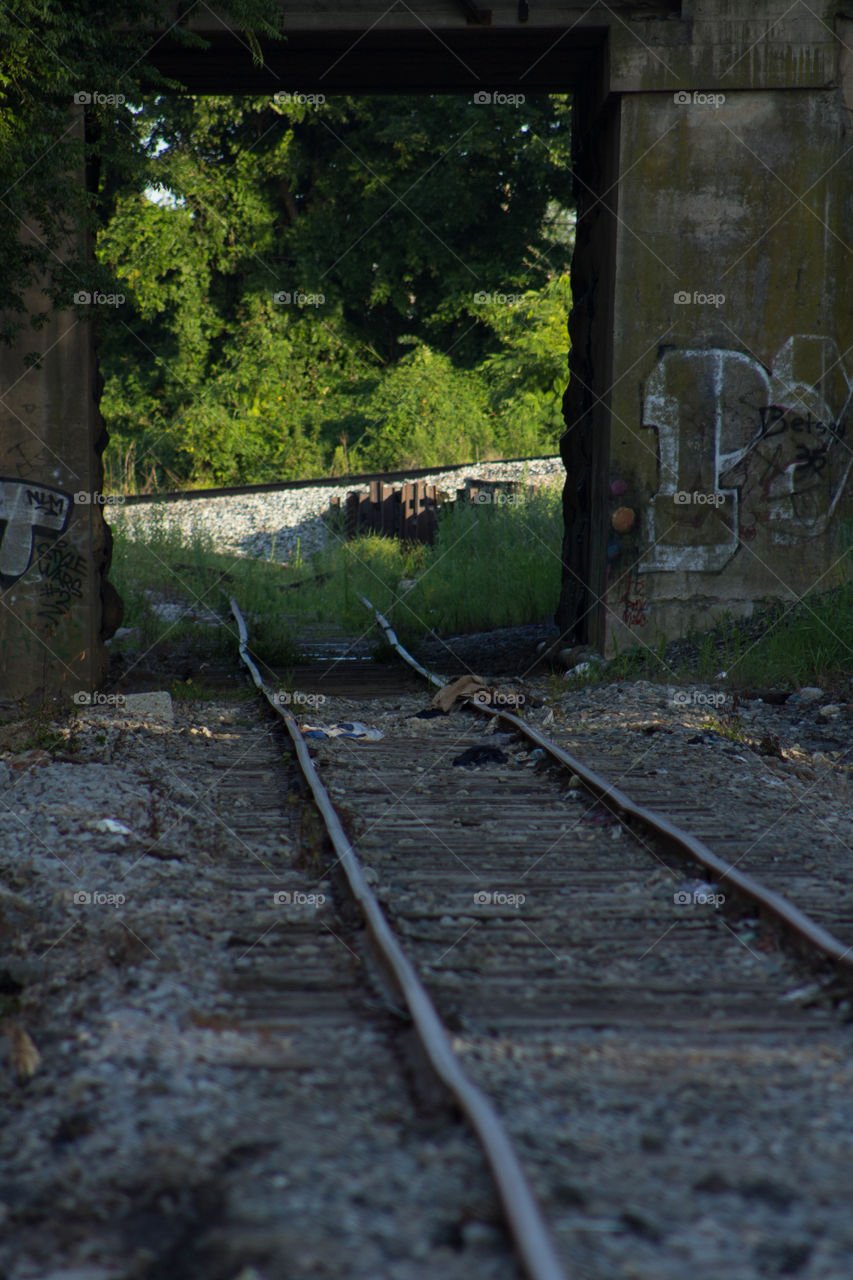 Tracks merge with graffiti under bridge into the trees.