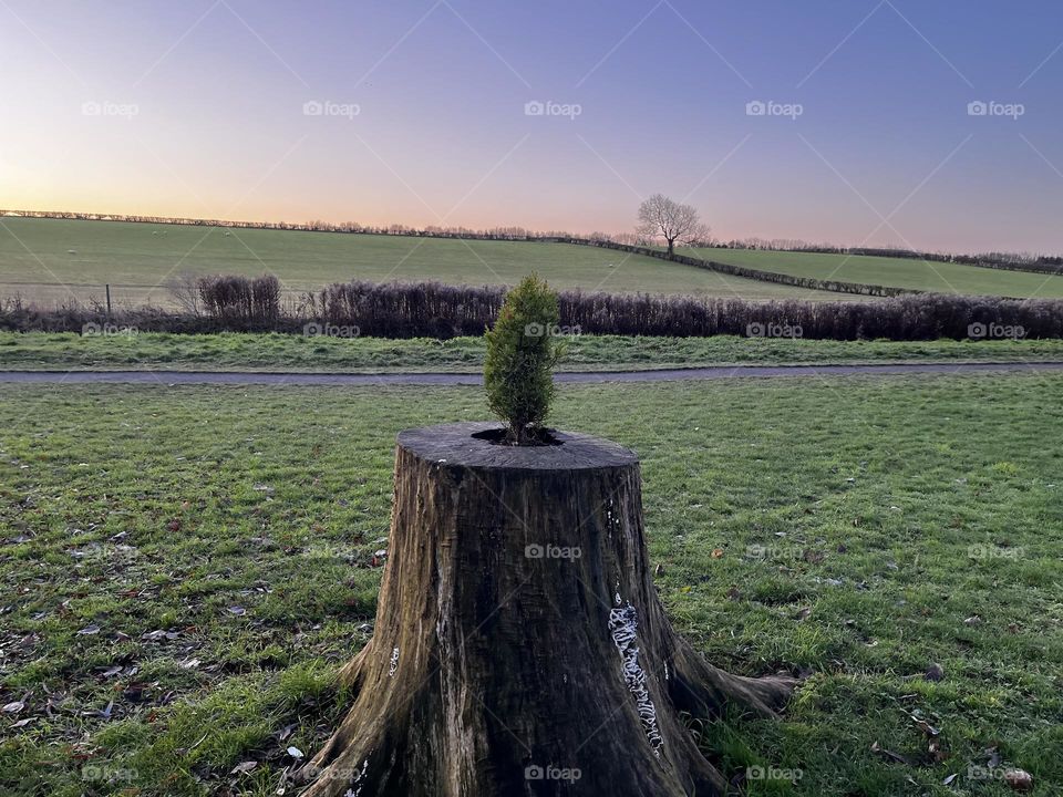 A beautiful view of the countryside 