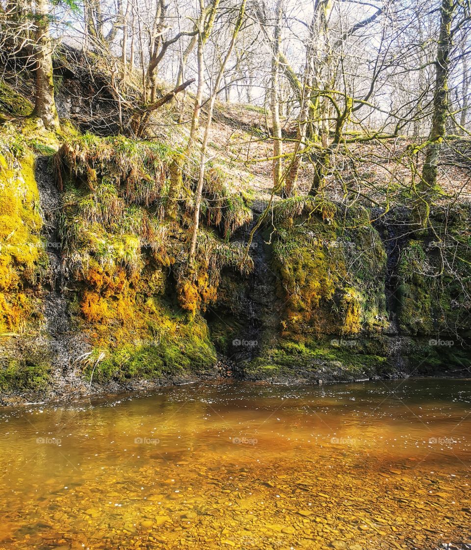 Beautiful Scottish glen