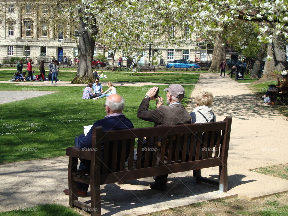 Apple Blossom Bench. Capturing the joys of Spring ...