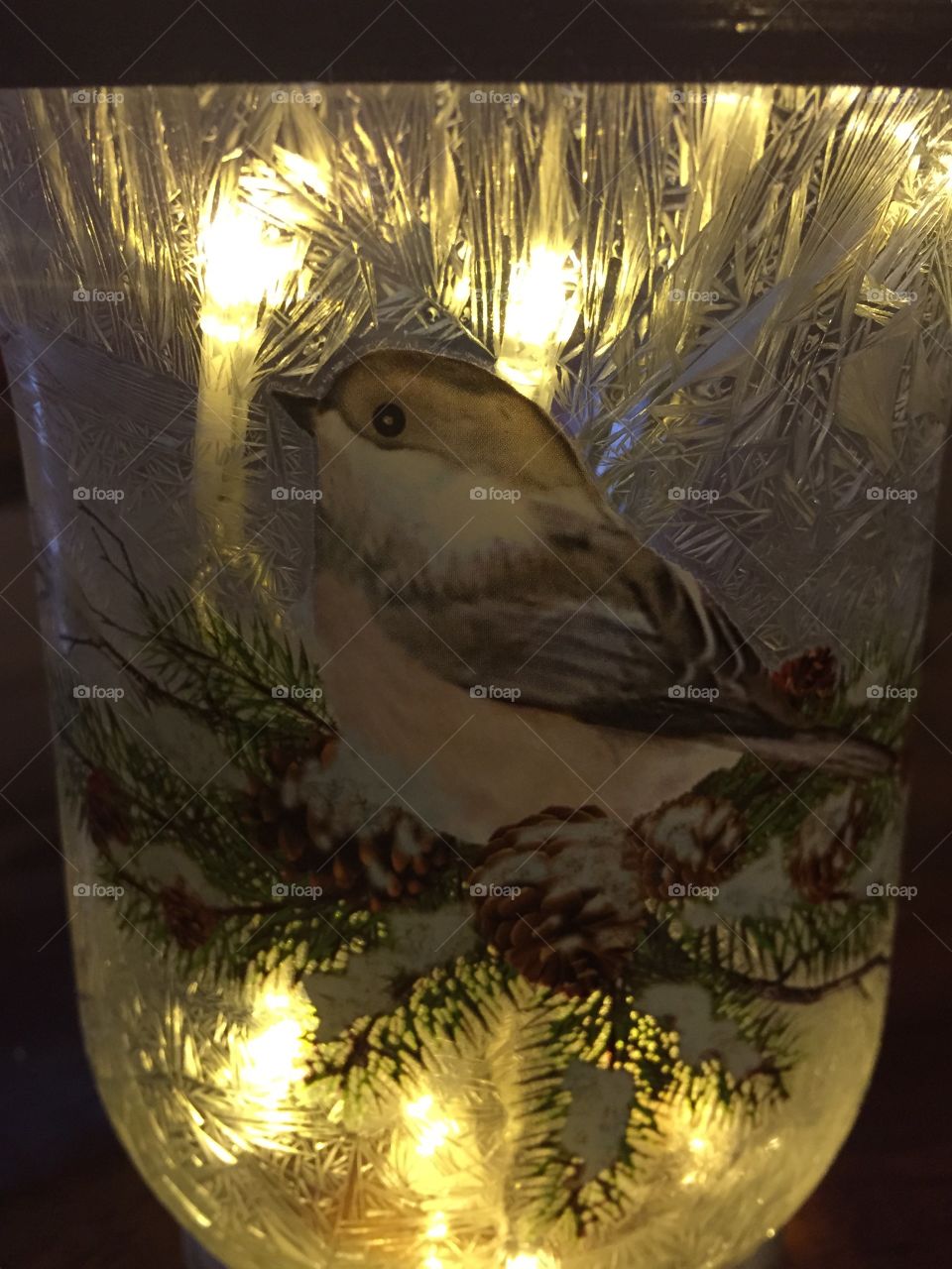 Beautiful frosted glass container with bird painted on it and lights inside making a glowing  piece.