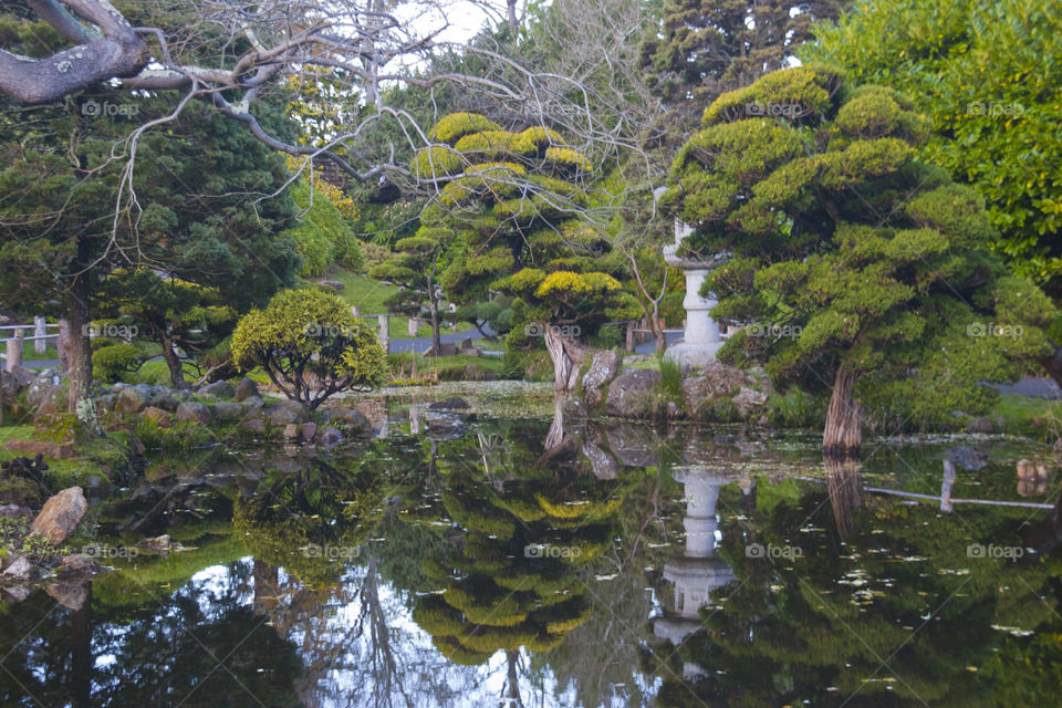 THE JAPANESE GARDEN AT THE GOLDEN GATE PARK