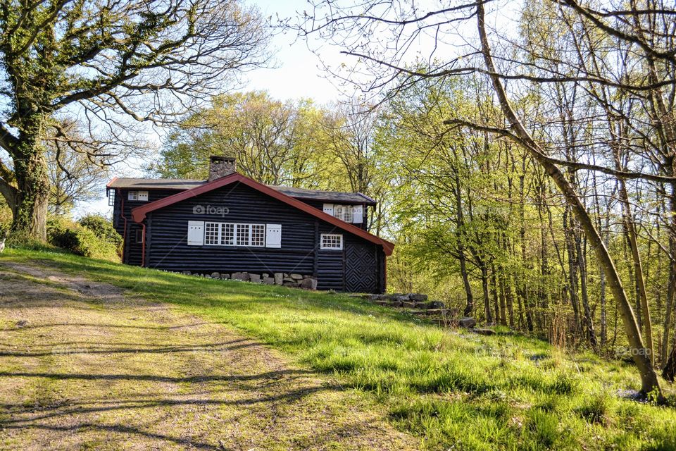 Wood, House, Tree, No Person, Landscape