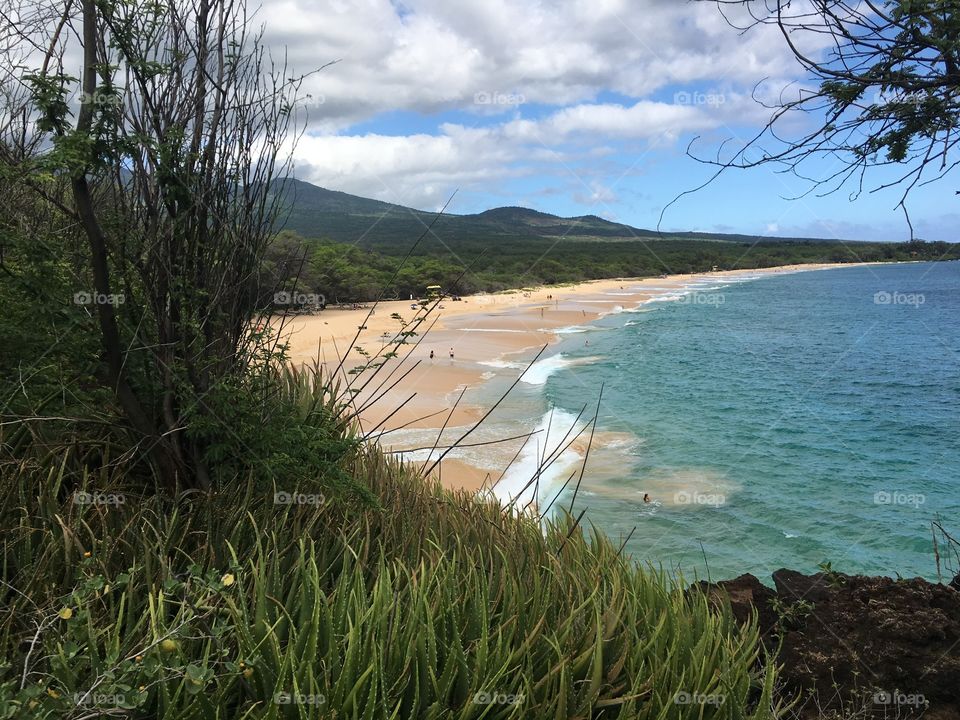 Ocean beach from the hill
