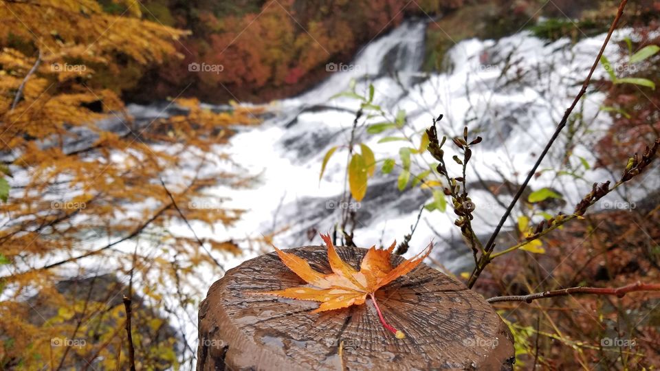 Waterfalls in the fall