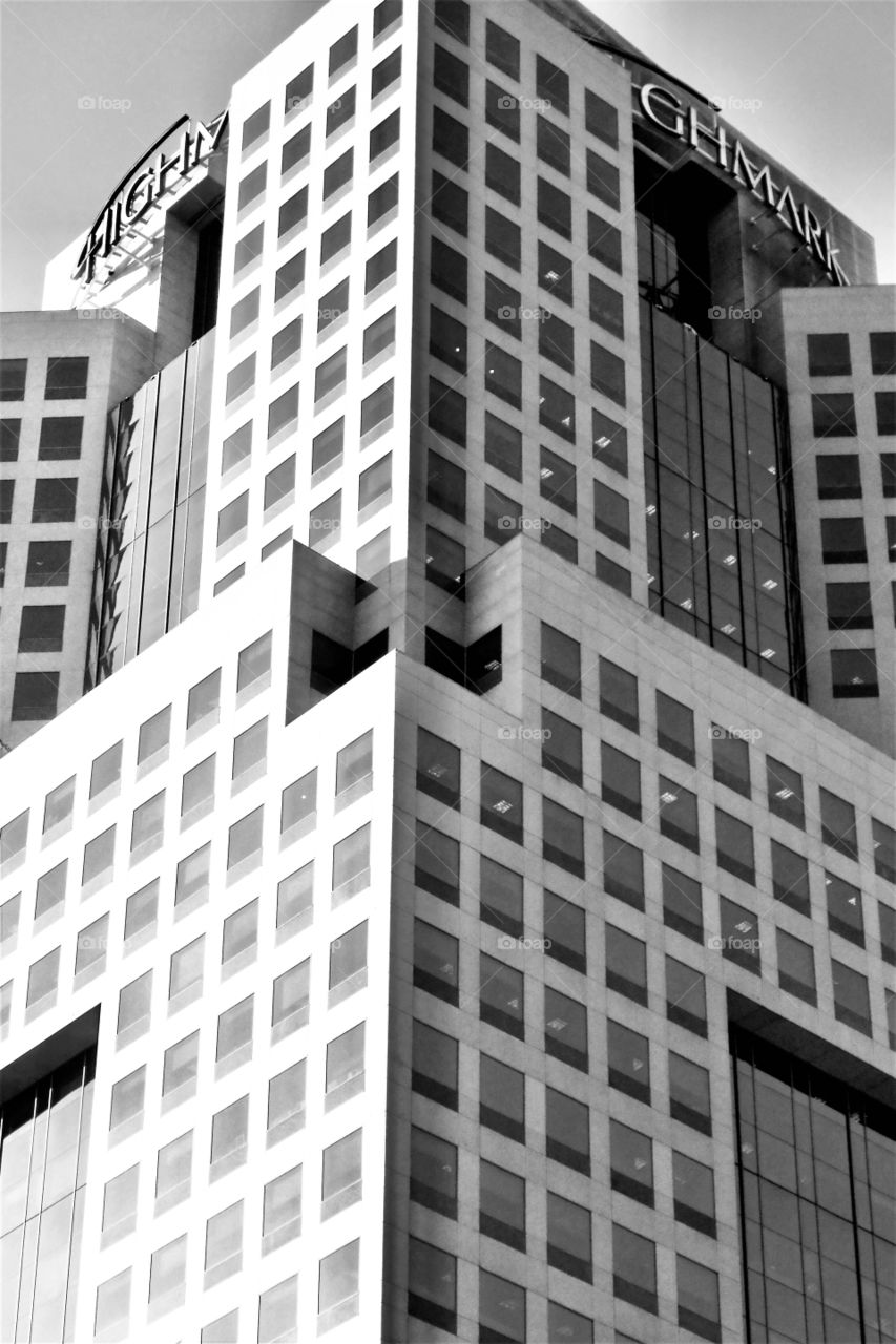 Black and White Architecture 