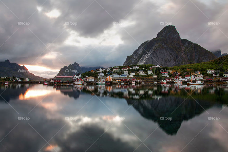 Reine