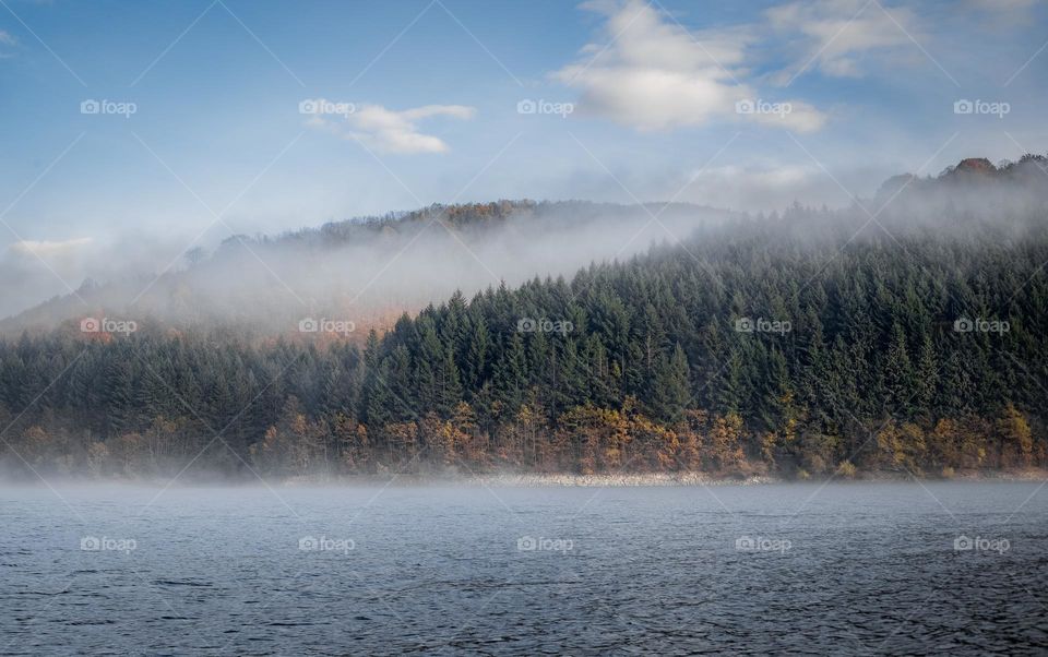 Early morning mist on lake, surrounded by
trees.