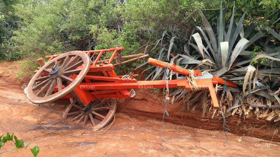 Old weathered bullock cart