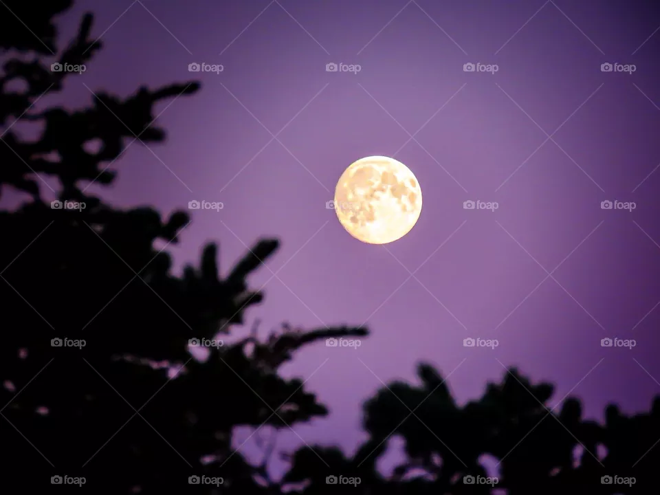Moon