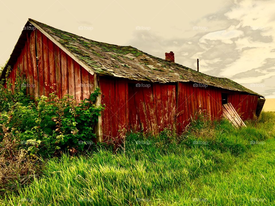 Old broken house in farm