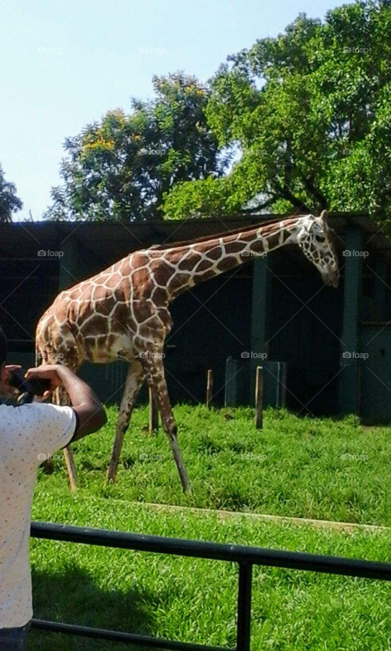 At zoo