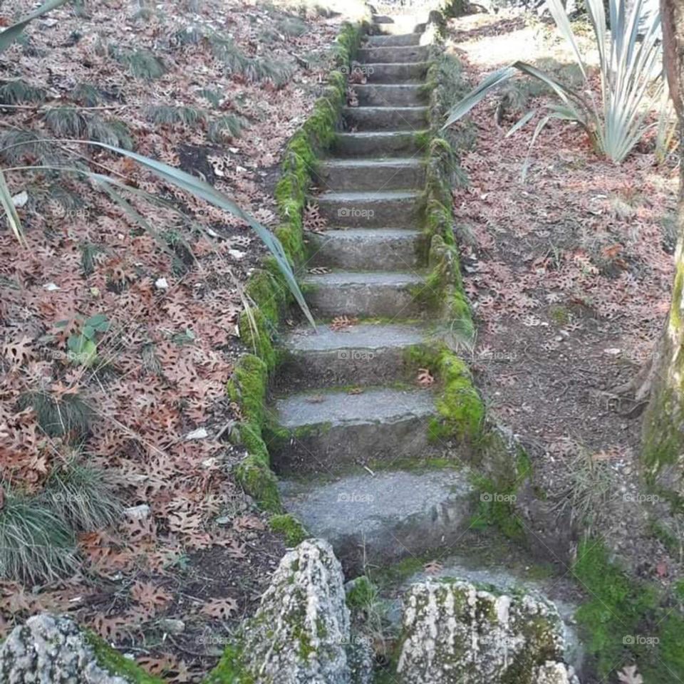 Stairs to Wonderland