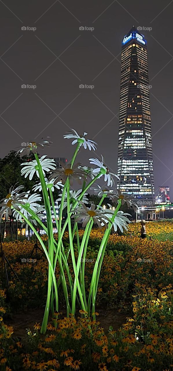 building in Korea on night 