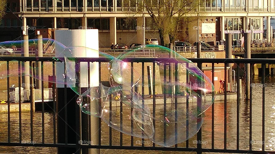 bubbles