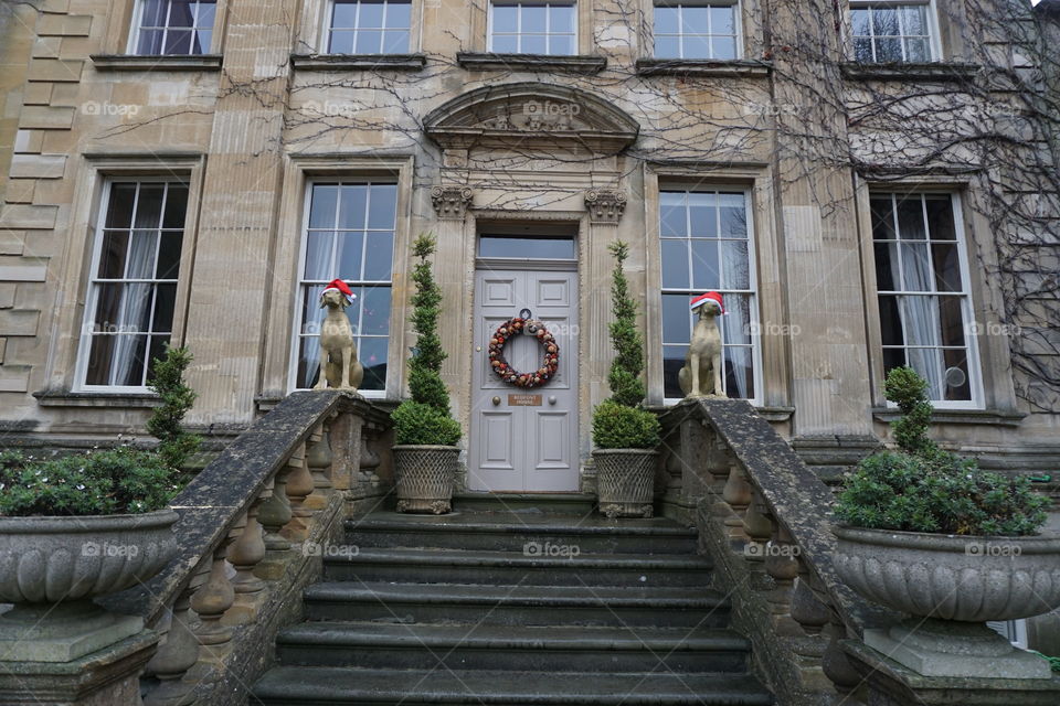 Christmas Hat’s placed on statues of dogs near an entrance to a large house in the Cotswold’s.. it made me smile ...