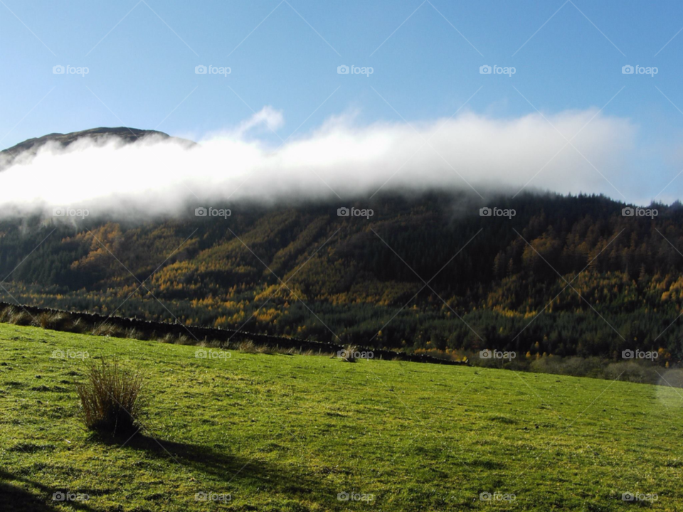 grassland mountain autumn scotland by Forest1213