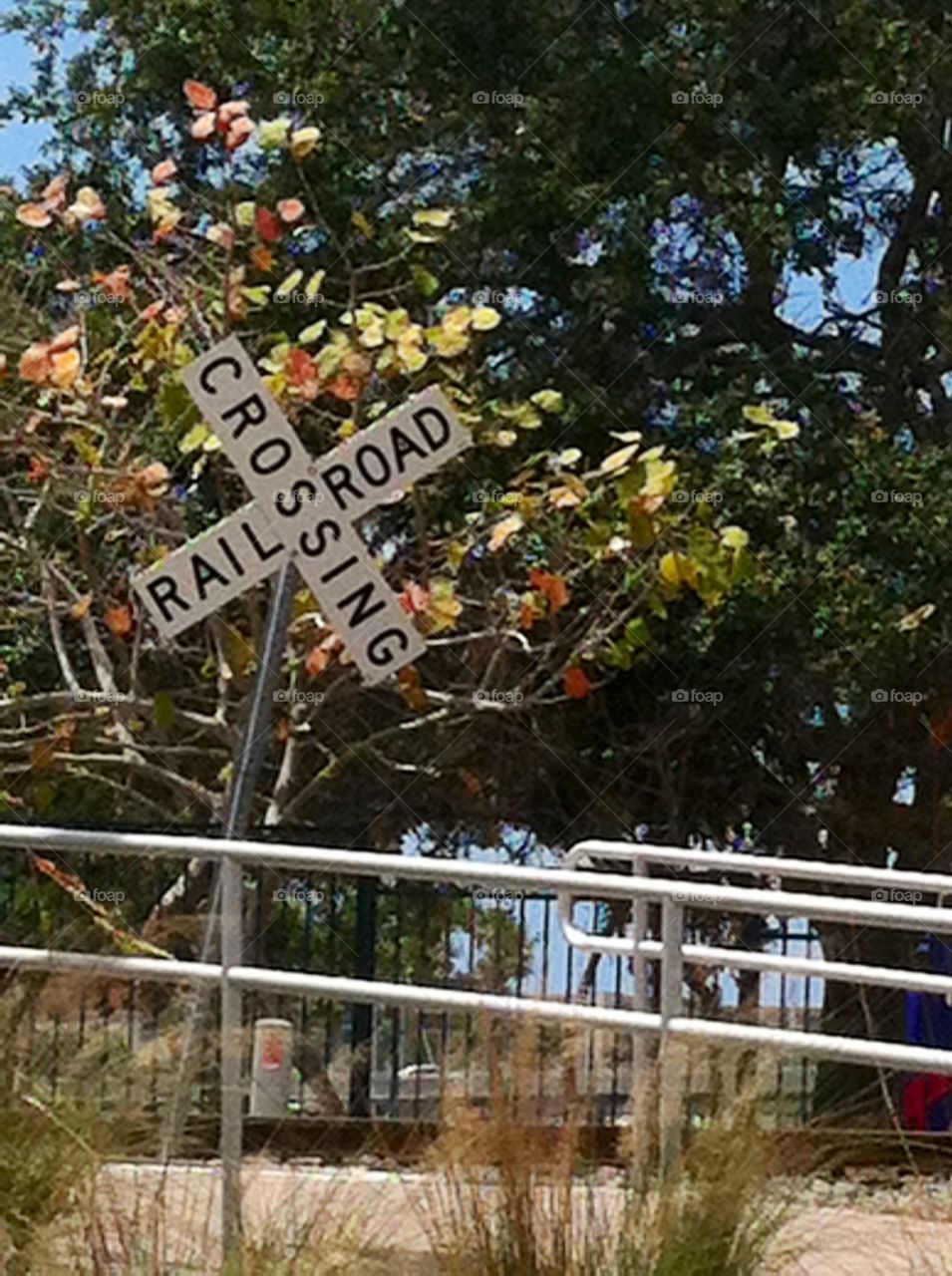 Railroad Crossing