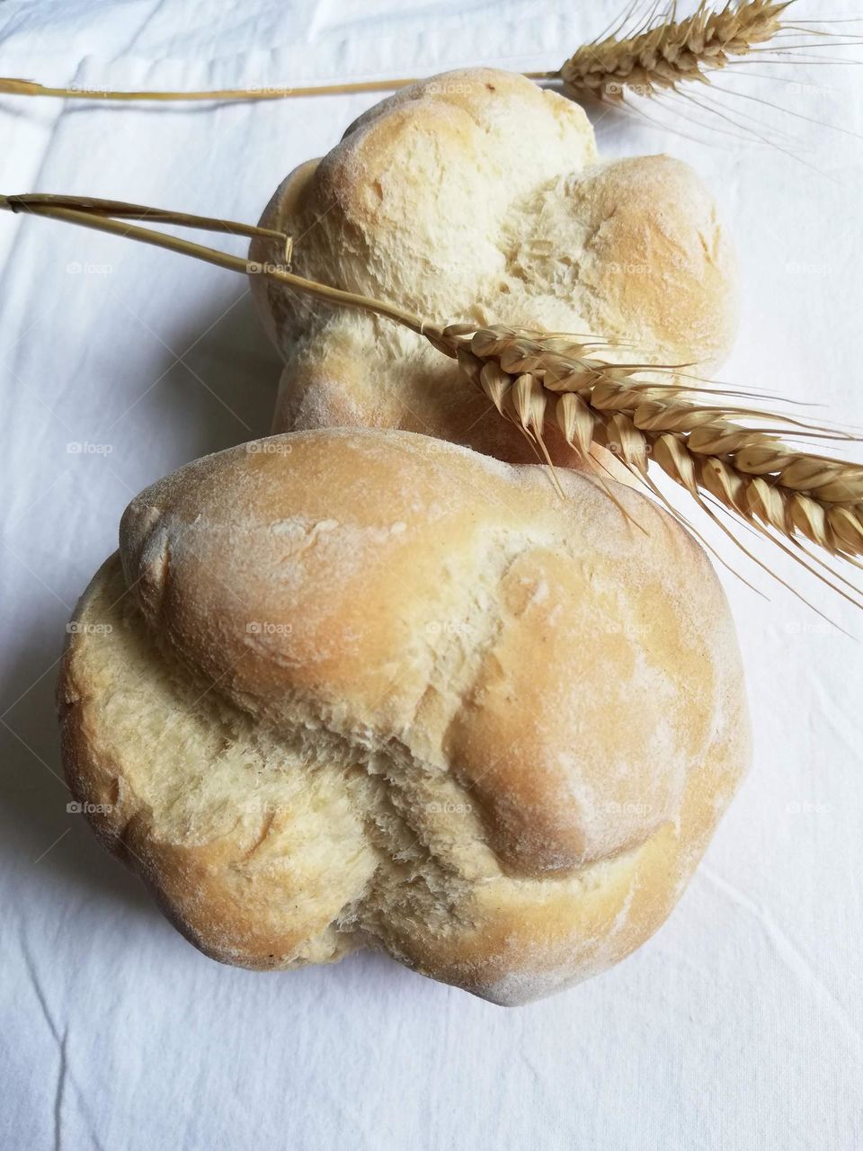 bread and an ear of wheat