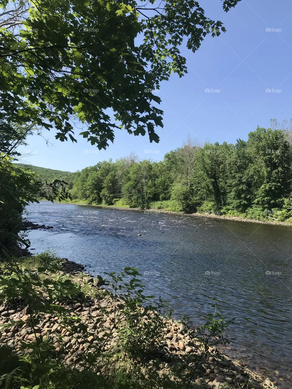 The River 